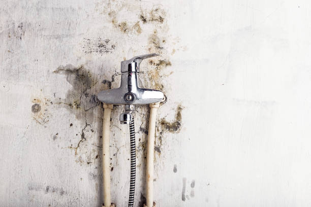 Best Office Mold Removal Services  in Marriott Slaterville, UT