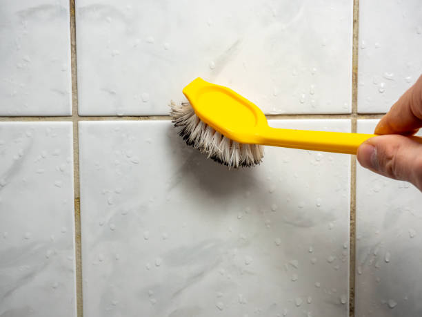 Best Mold Damage Repair  in Marriott Slaterville, UT