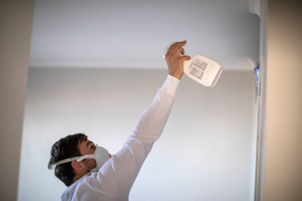 Best Mold Removal Company Near Me  in Marriott Slaterville, UT