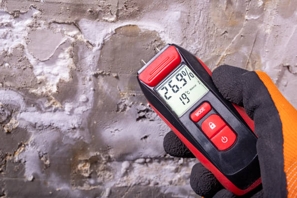 Best Local Mold Removal Service  in Marriott Slaterville, UT